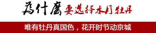唯有牡丹真国色，花开时节动京城